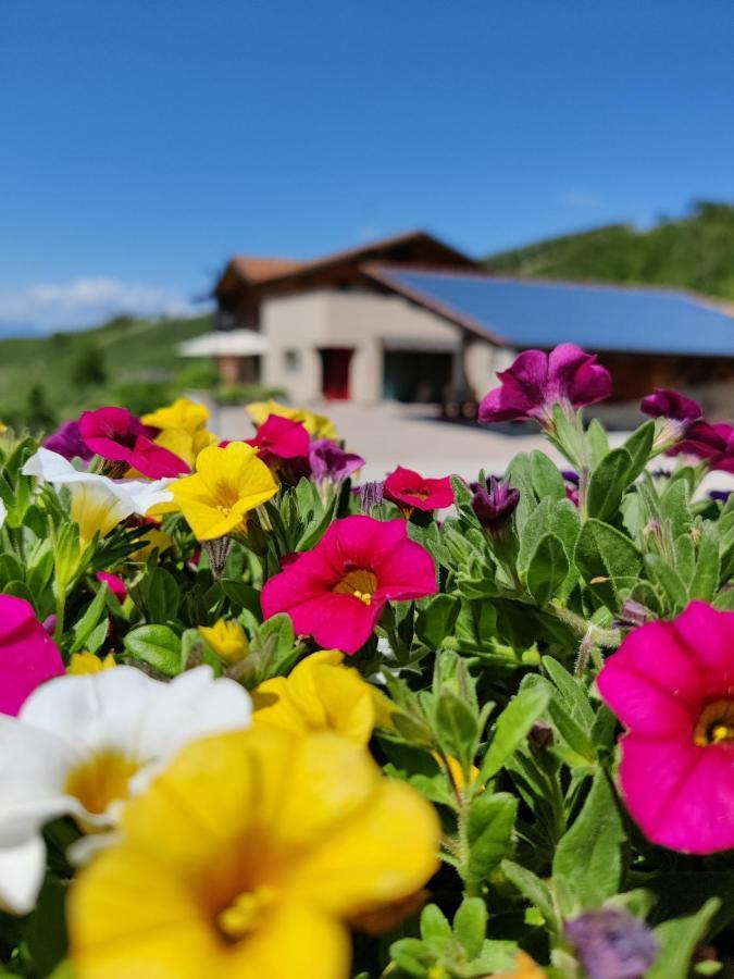 Villa Bio Agritur Al Bait à Spormaggiore Extérieur photo